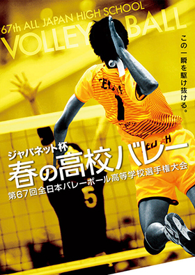 2015_works_d-volley01